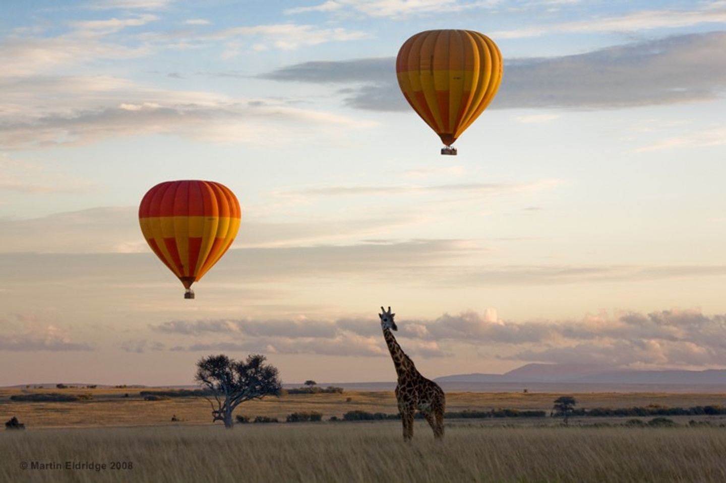A fantastic Combined Balloon Adventure Safari Masai Mara Kenya.