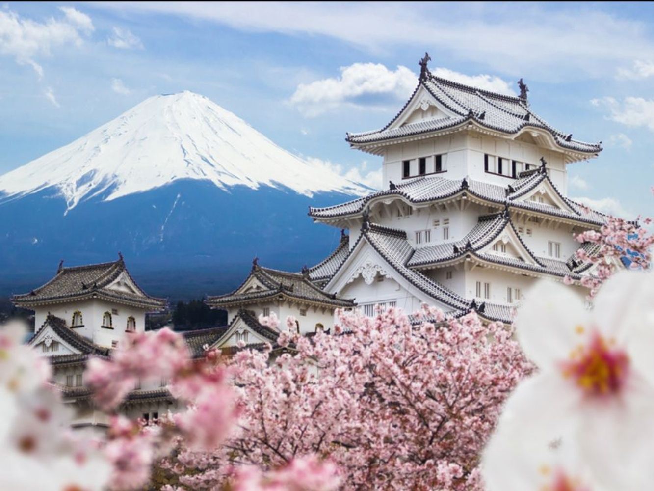 Japan Cherry Blossom & More 9-Day Tour!