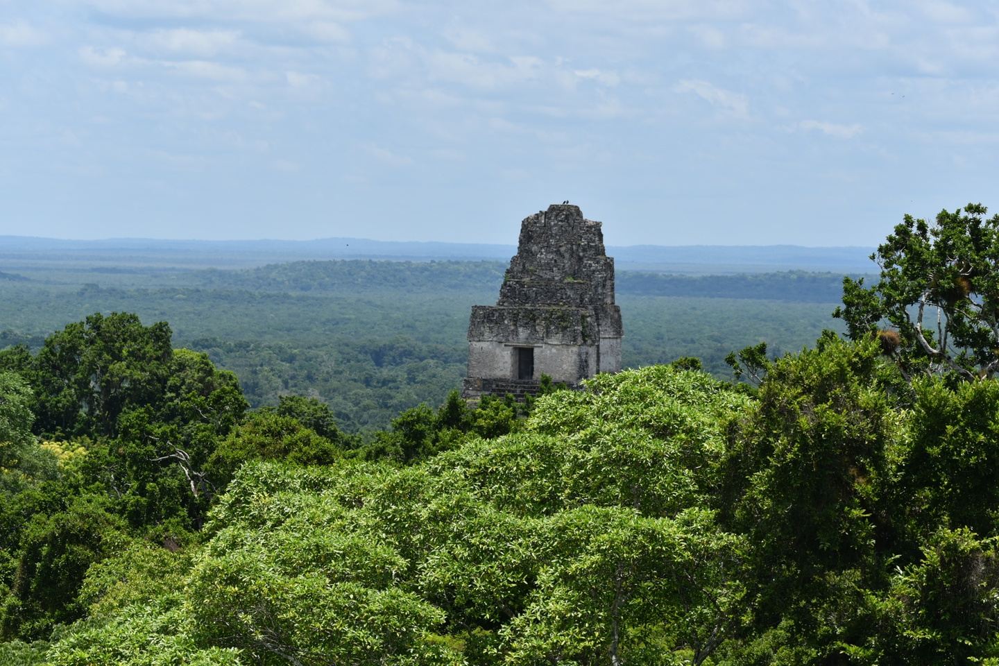 Tikal Sunset