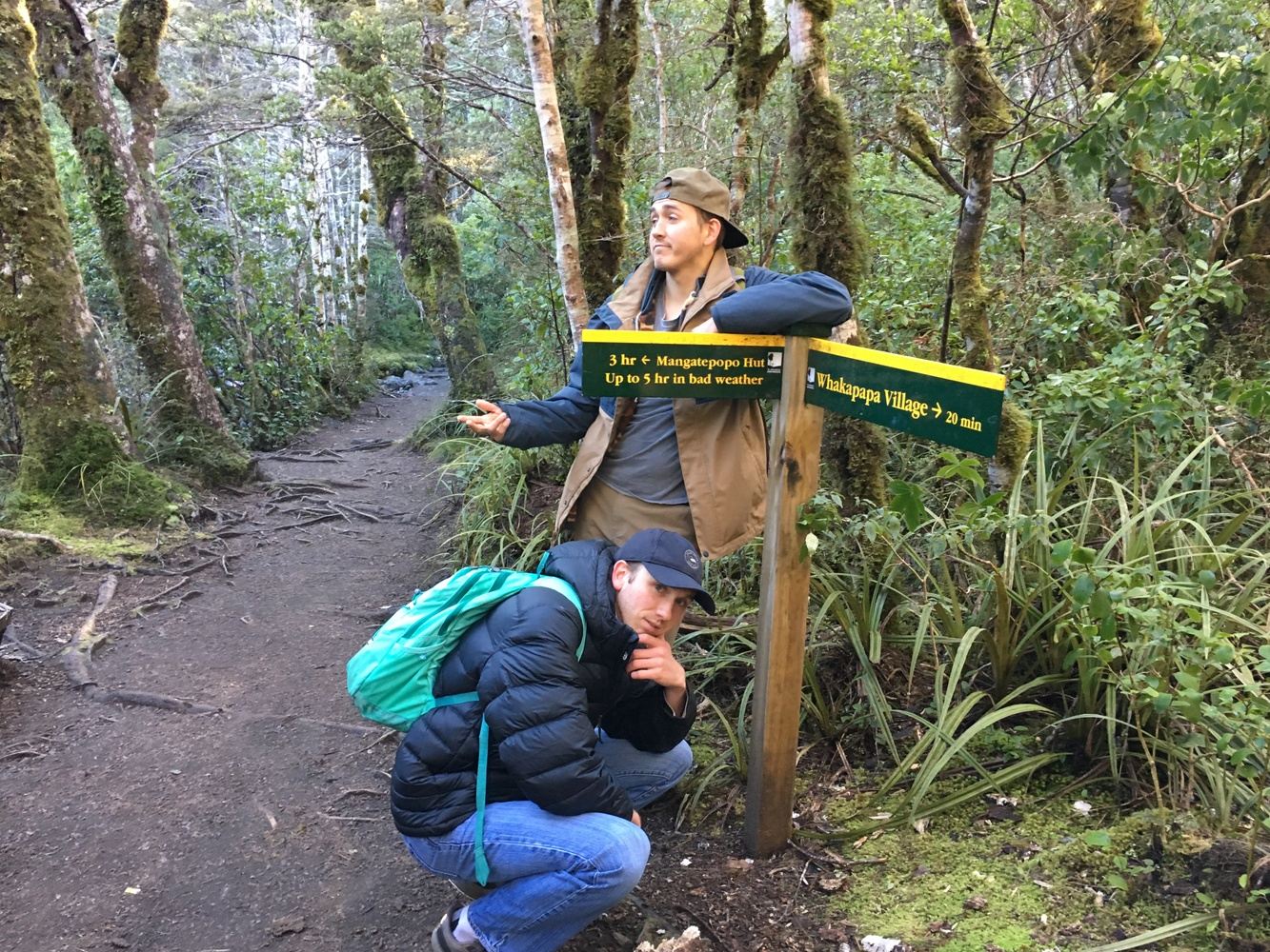 Hiking through New Zealand in Auckland, New Zealand