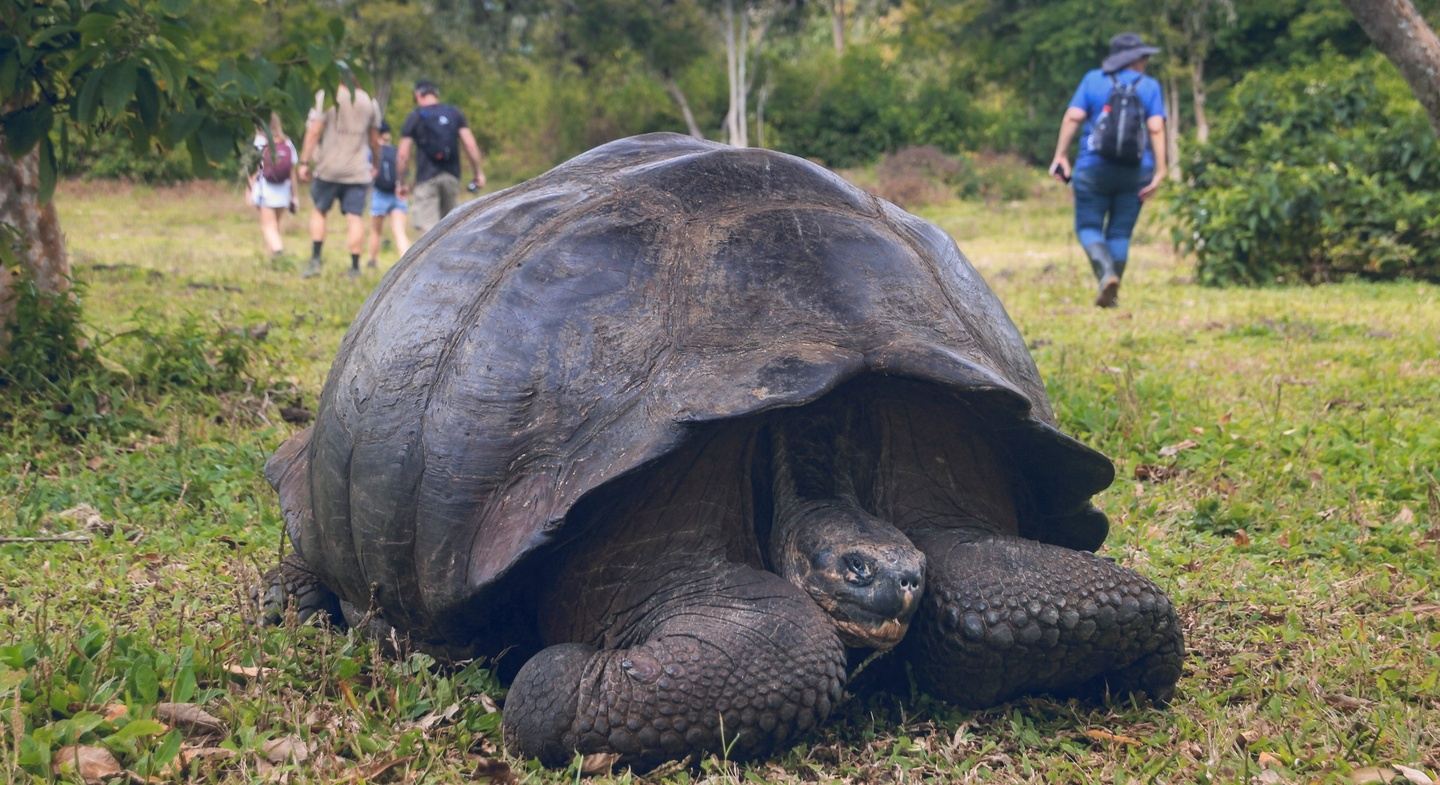 6day Galapagos Island tour in Galapagos Islands