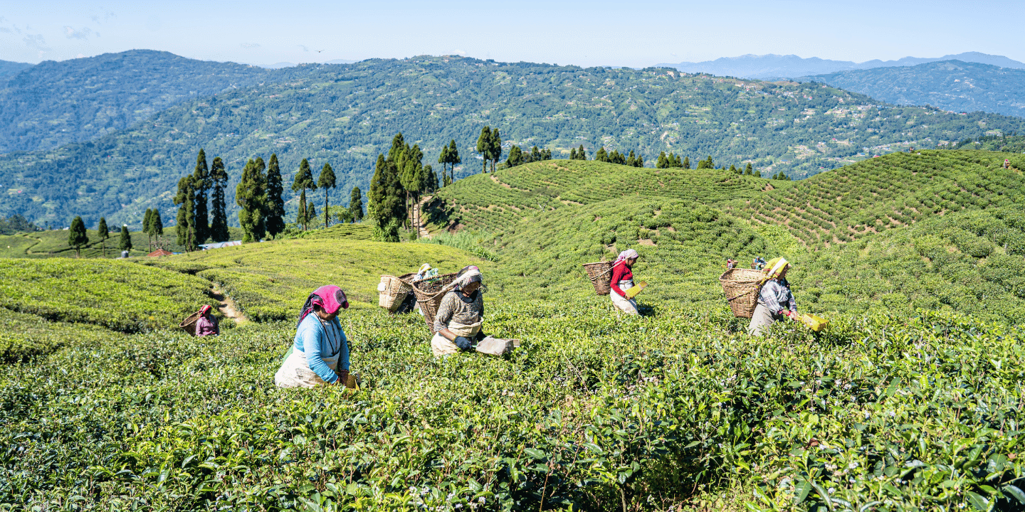 Nepal