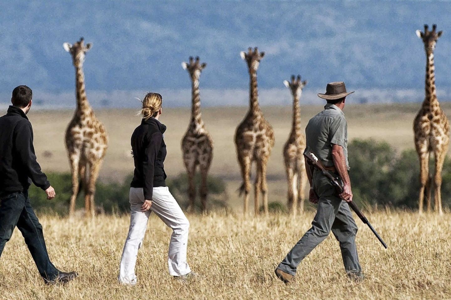 One day safari in Arusha National Park - Walking & game drives