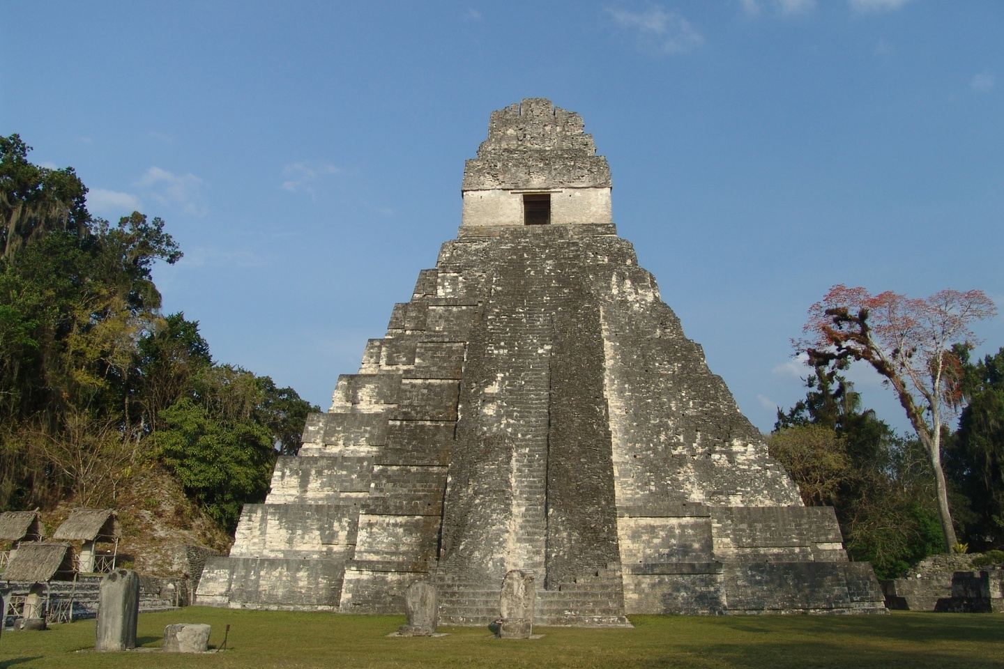 T T14 Tikal Maya Ruins in Guatemala