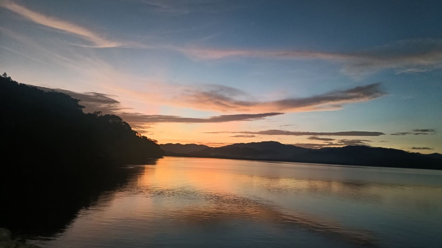 bioluminescence and boat tour