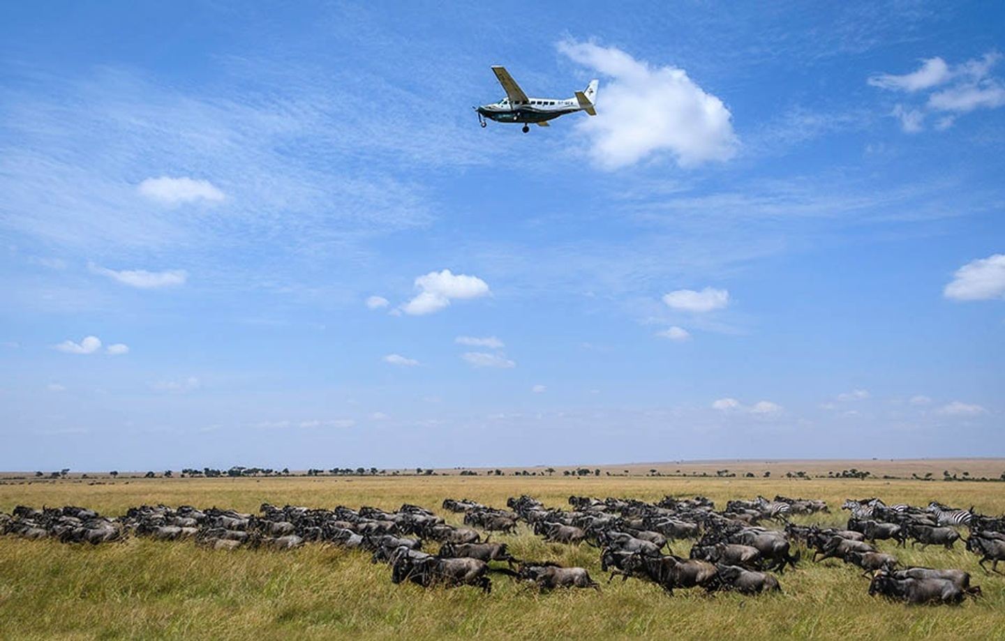 Maasai Mara Fly in Safari