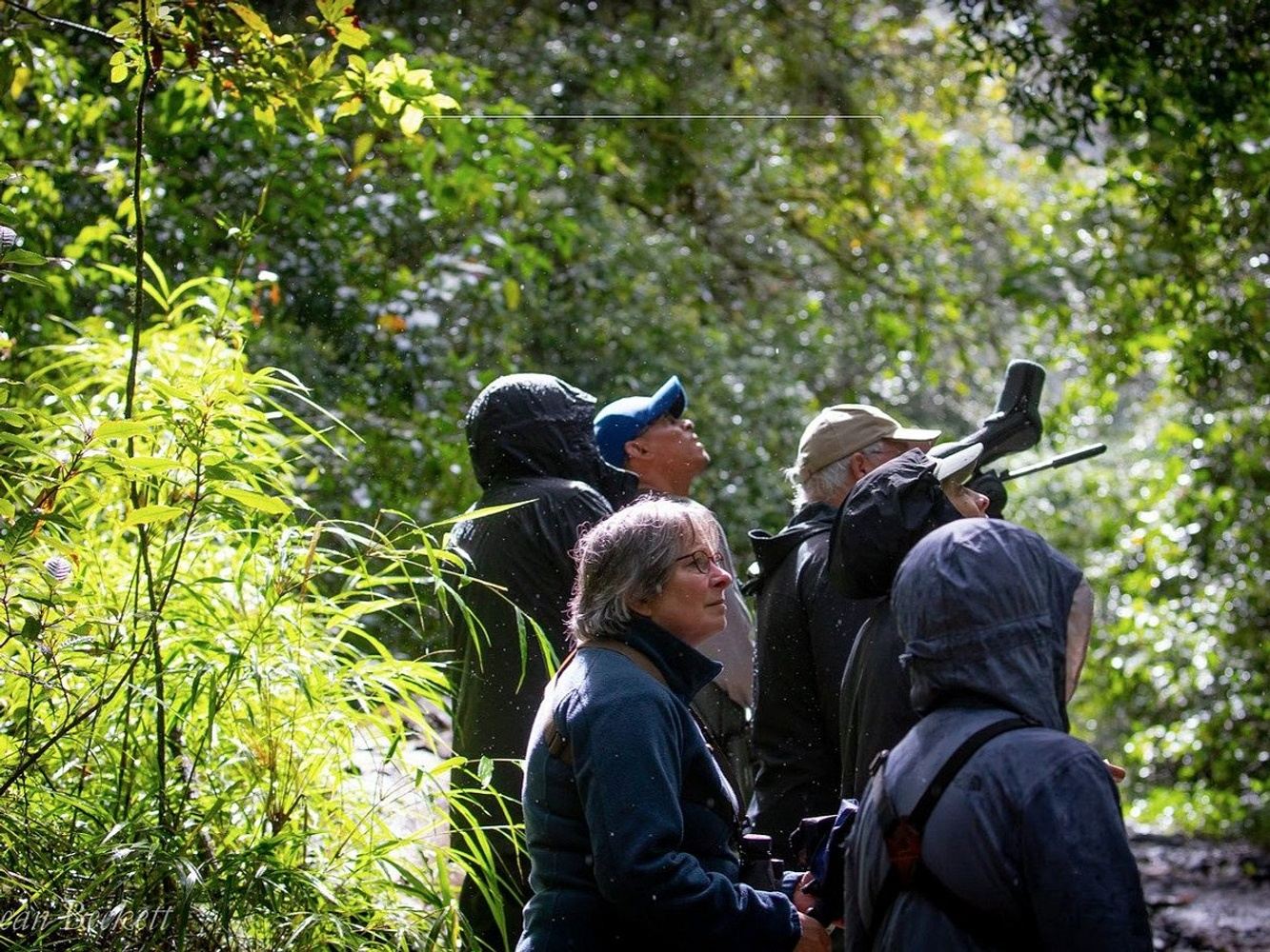 Quetzal Tour 2 people