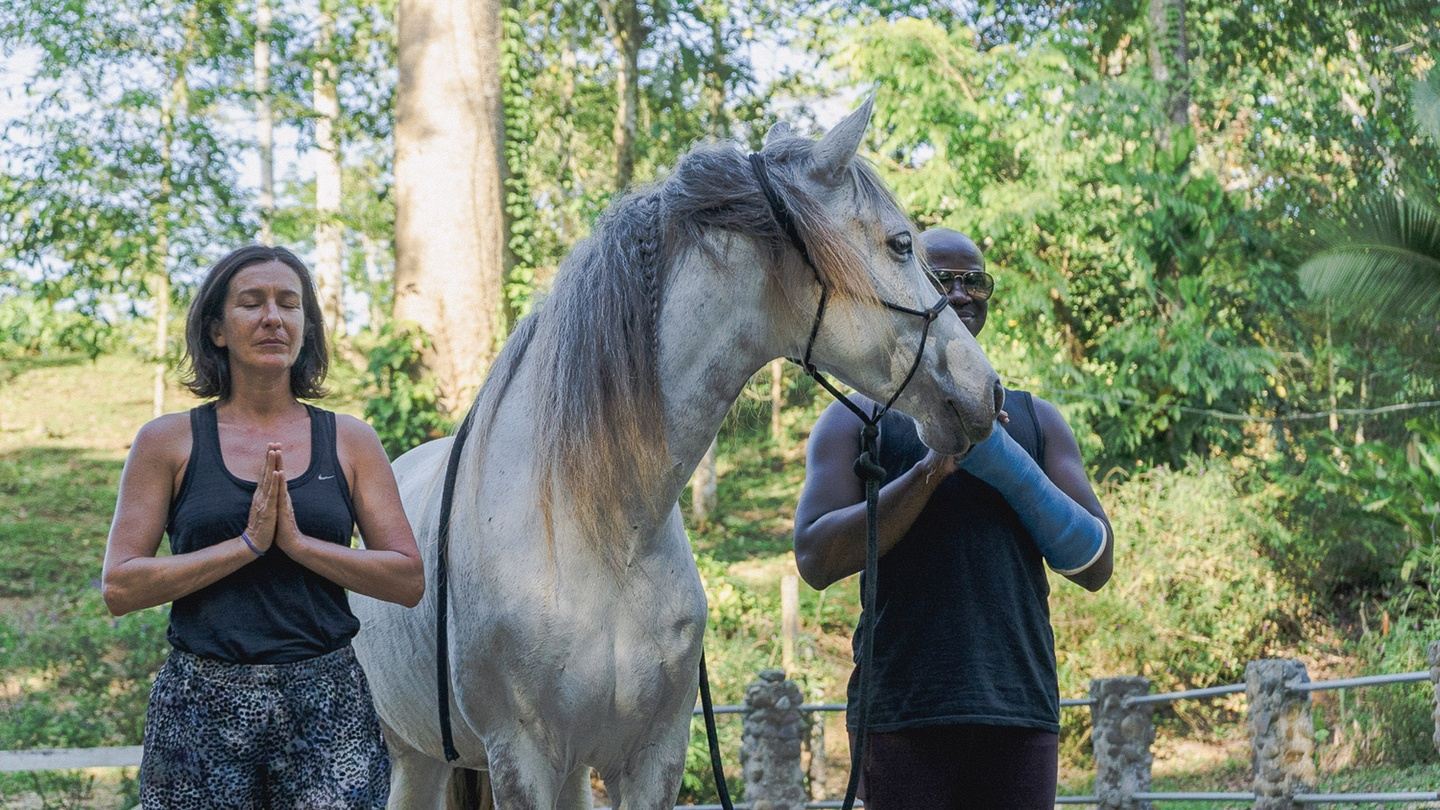 Yoga Healing with Horses, 3 Day Petite Retreat