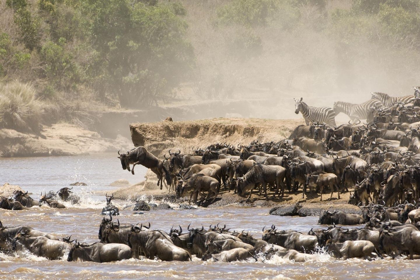 The Soul of Kenya & Tanzania Safari