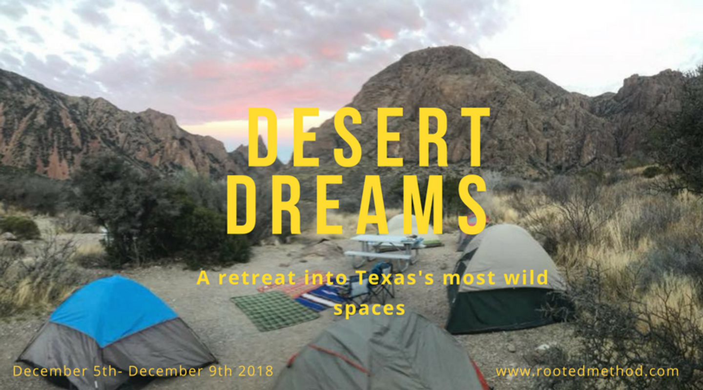 Desert Dreams | A Rewild Retreat into West, Texas