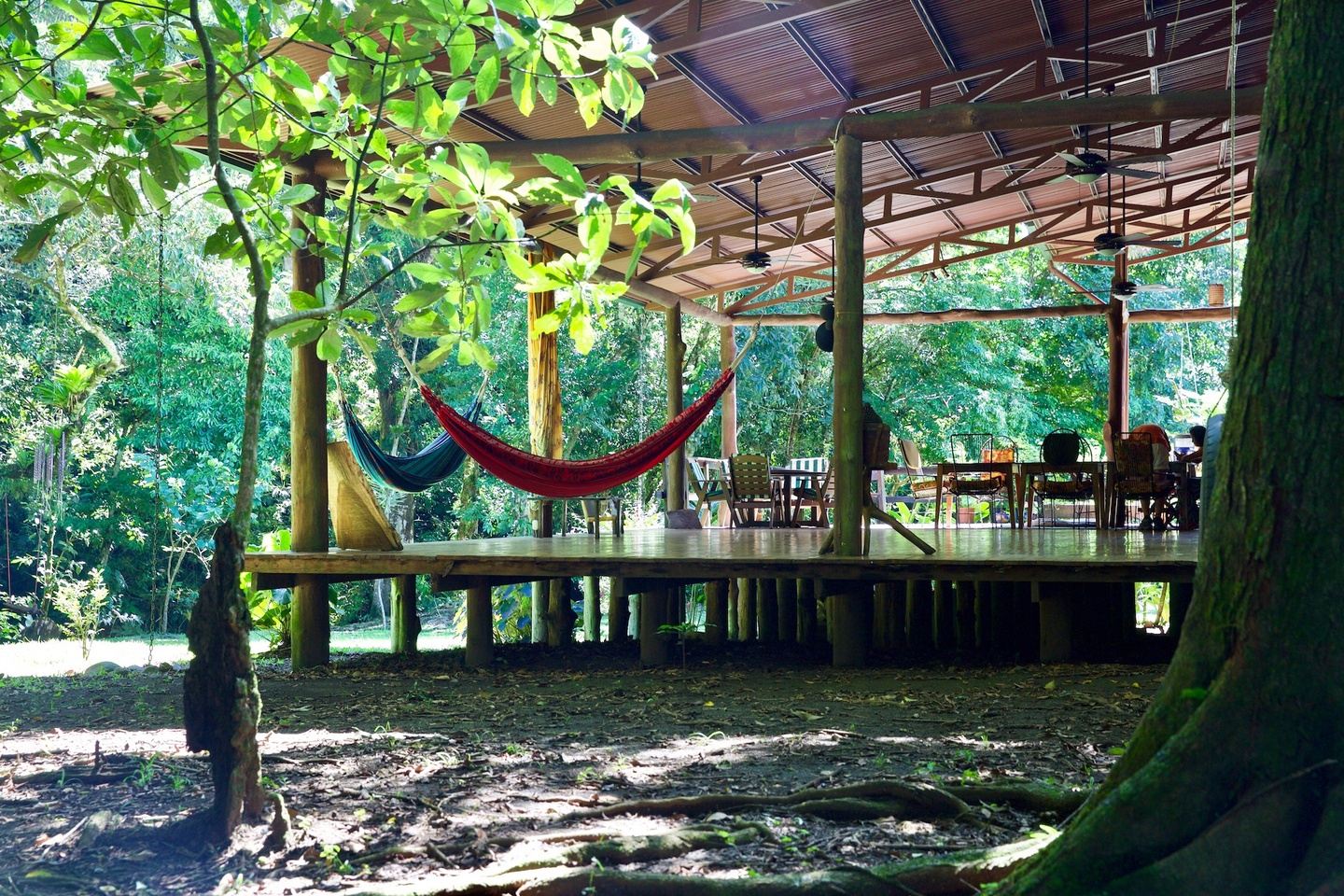 Freedom Journey through Dance and Art – Costa Rica Retreat