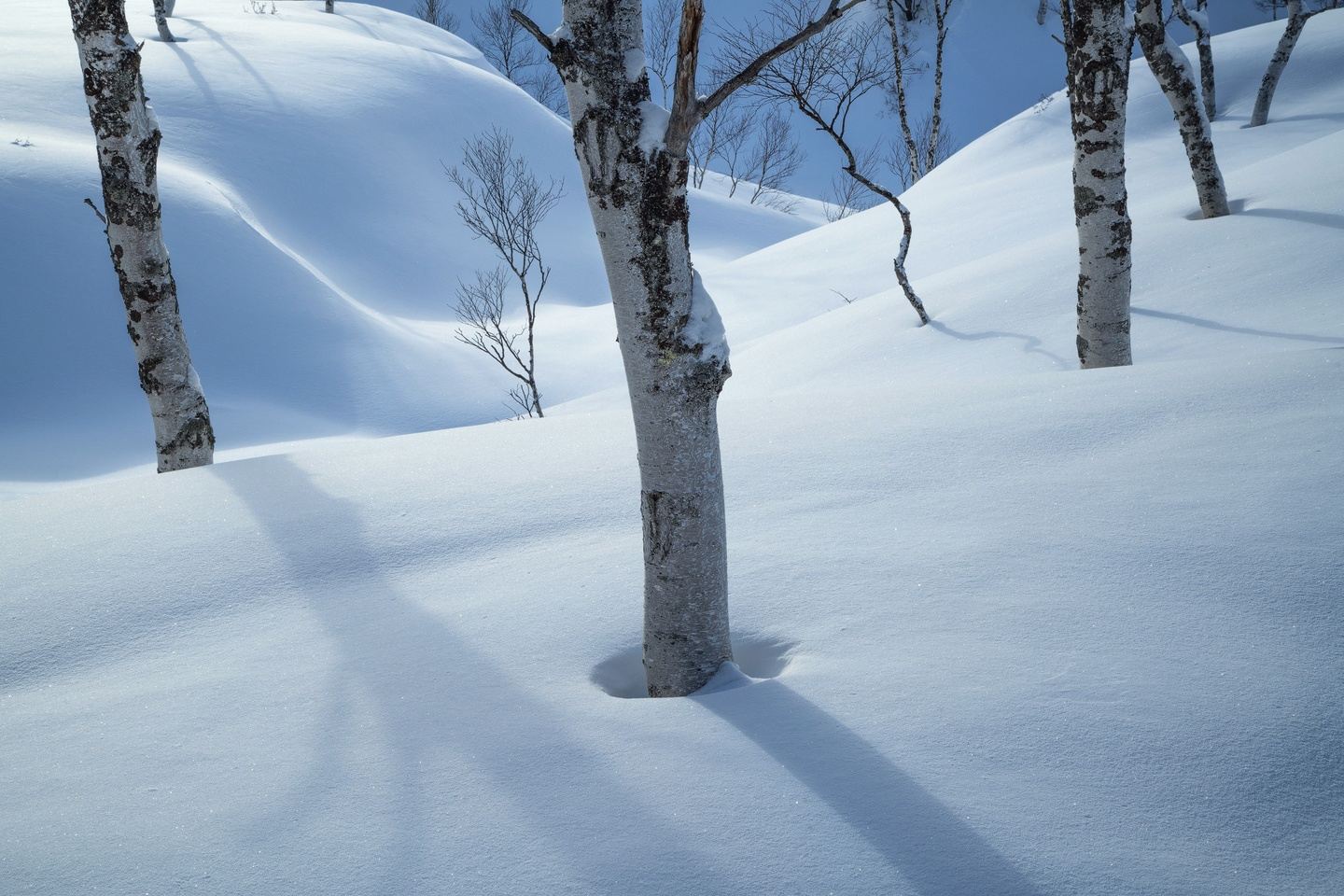Japan Winter Workshop w/ Eric Bennett