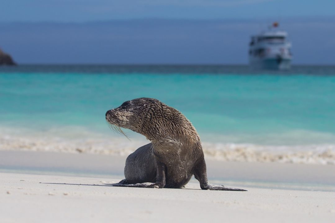 galapagos 360 tour