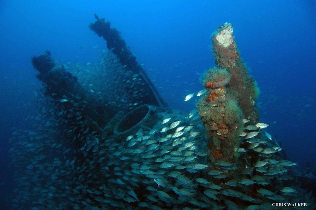 Wreck Diving in North Carolina in Morehead City, NC, USA