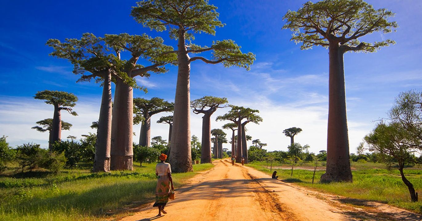 Мадагаскар достопримечательности фото и описание