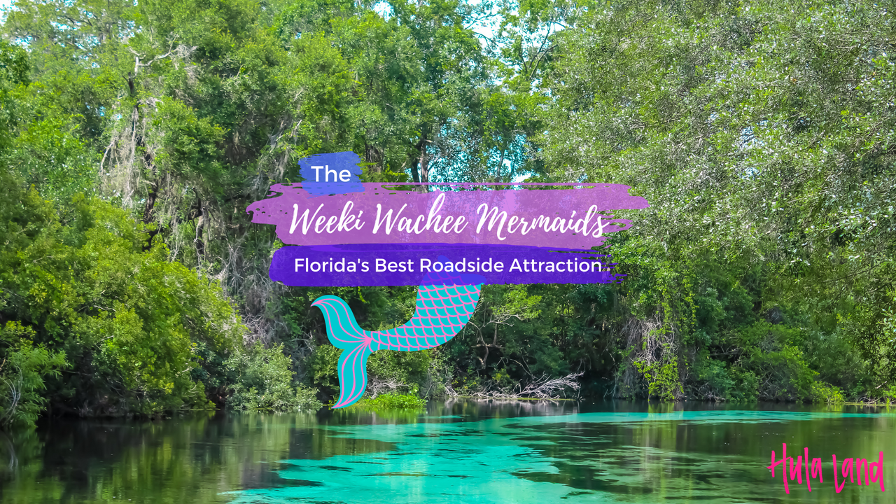 Discover Crystal River in Crystal River, FL, USA