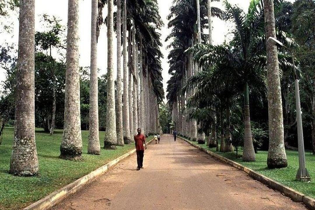 Black Star Ghana: Detty December 2024 in Accra, Ghana