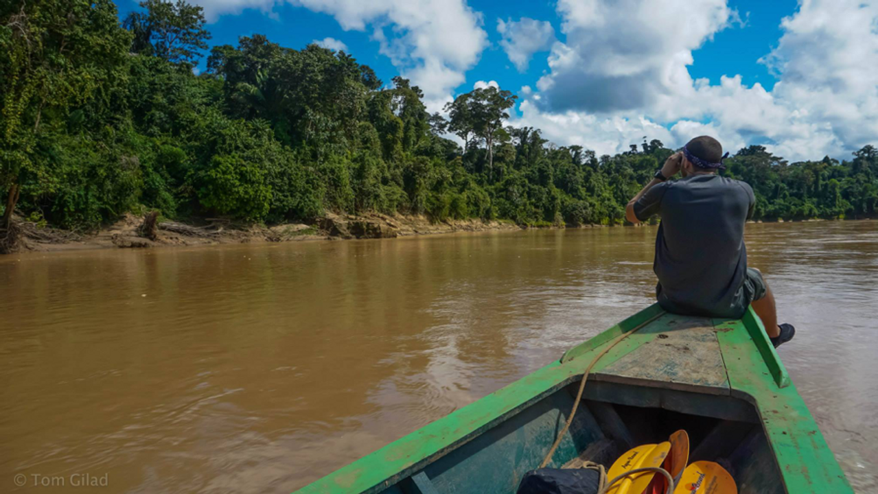 Reconnect with Nature: Explore in the Amazon Rainforest in Puerto ...