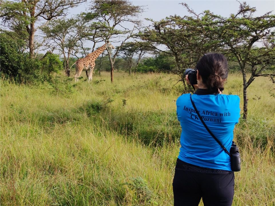 7 Days Chimps, Gorillas and Wildlife Experience in Entebbe, Uganda