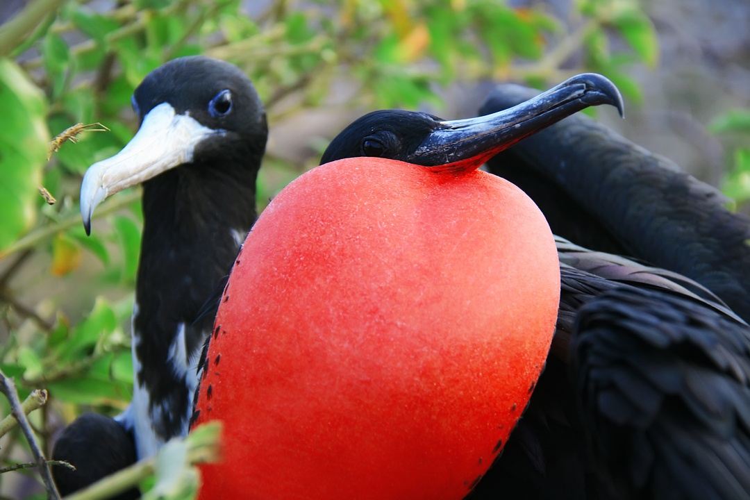 galapagos 360 tour