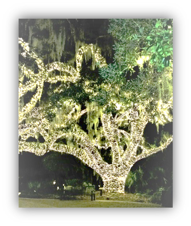Night of a Thousand Candles in Murrells Inlet, SC 29576, USA