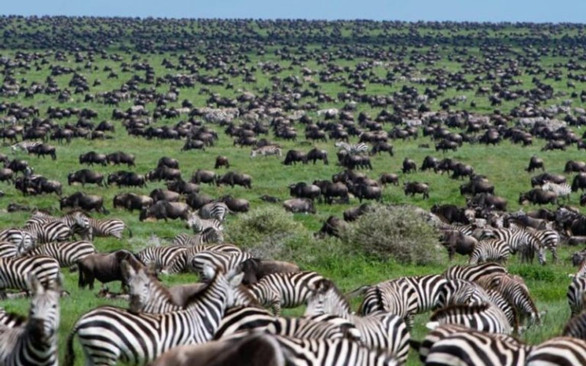 kenia safari 5 tage