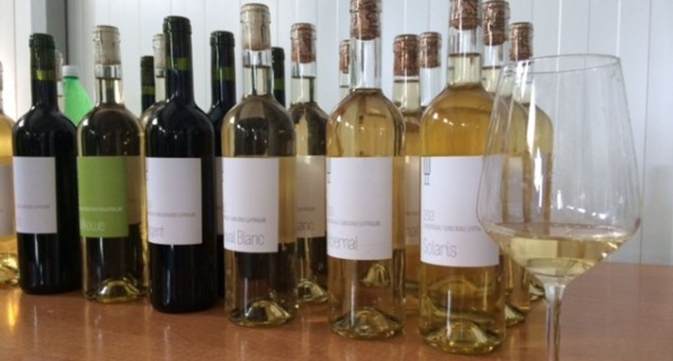 Five Days with Polish Wine in Lesser Poland + Krakow in Kraków, Poland