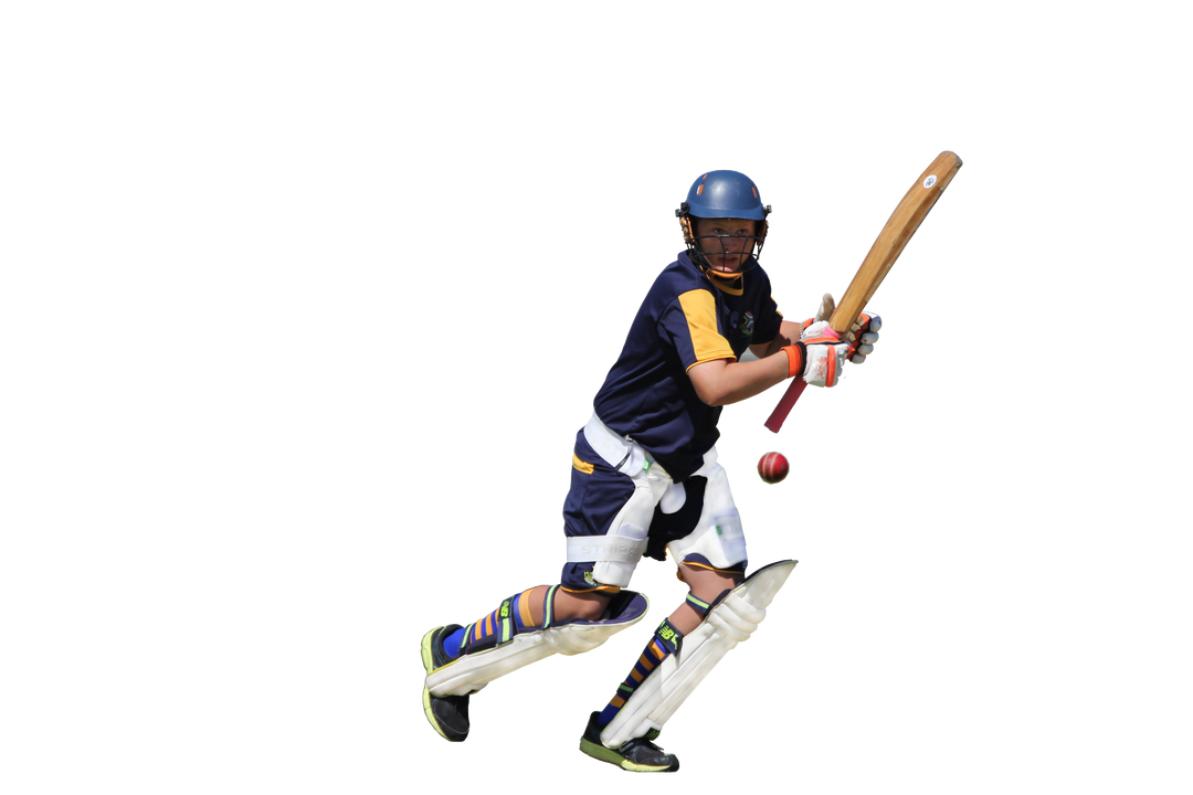 South Africa Cricket Academy CRICKET HIGH PERFOMANCE MASTER CLASSES in