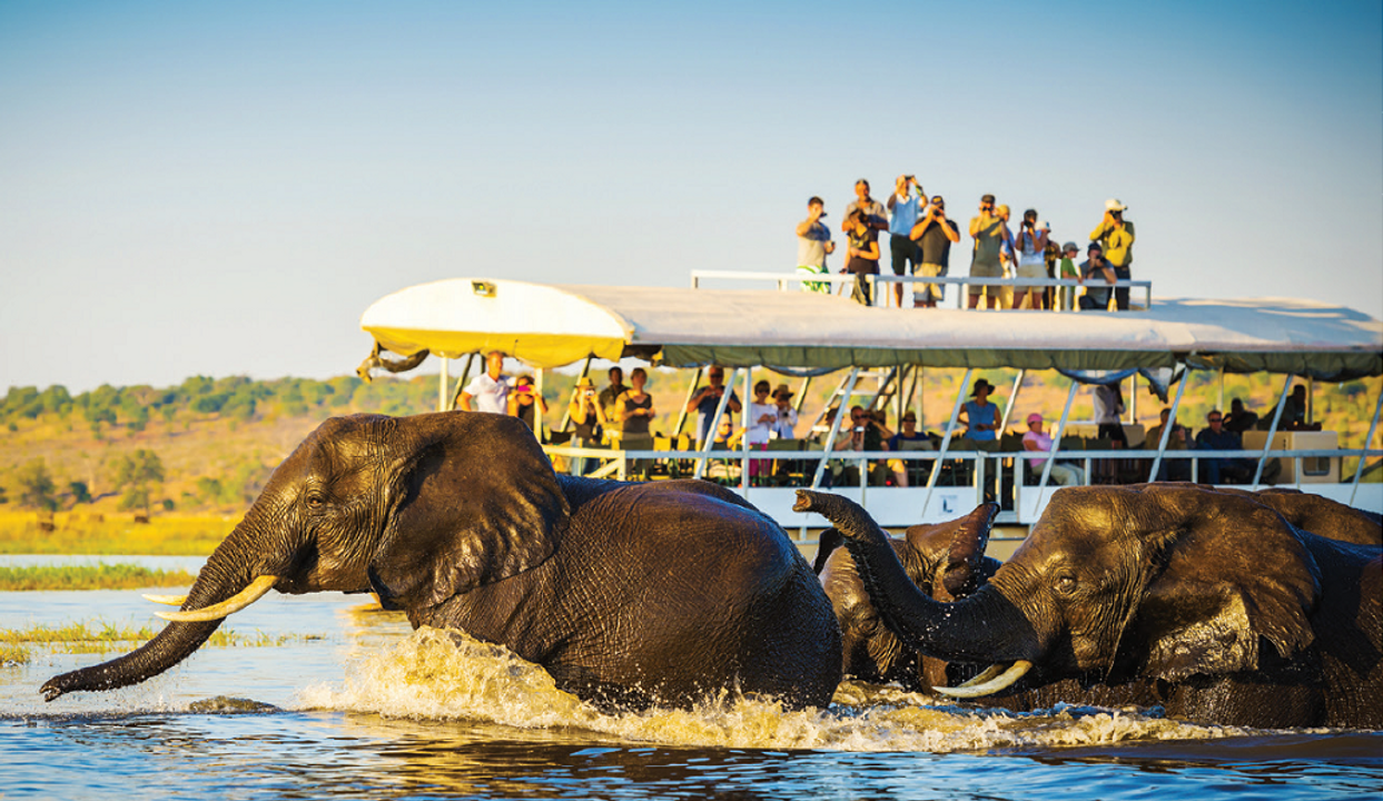 Amazing African Adventure 5 Countries in Cape Town, South Africa