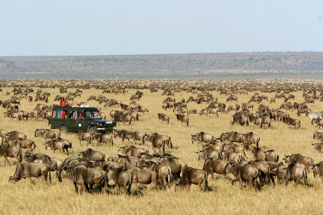 kenia safari 5 tage