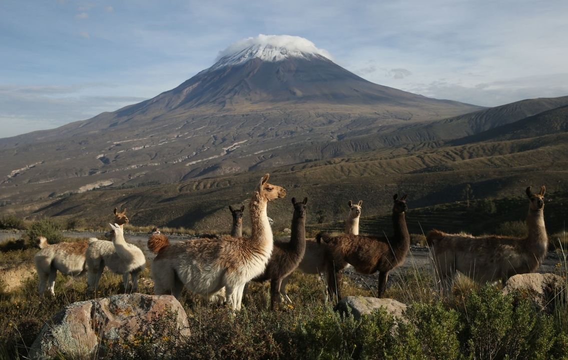 inca travel peru arequipa