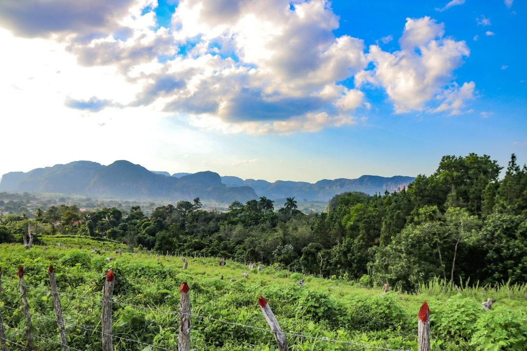 Costa Rica's SUSTAINABLE AGRICULTURE AND BIRD WATCHING PARADISE in