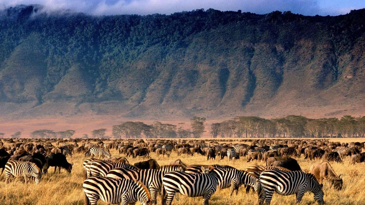 kenia safari 5 tage