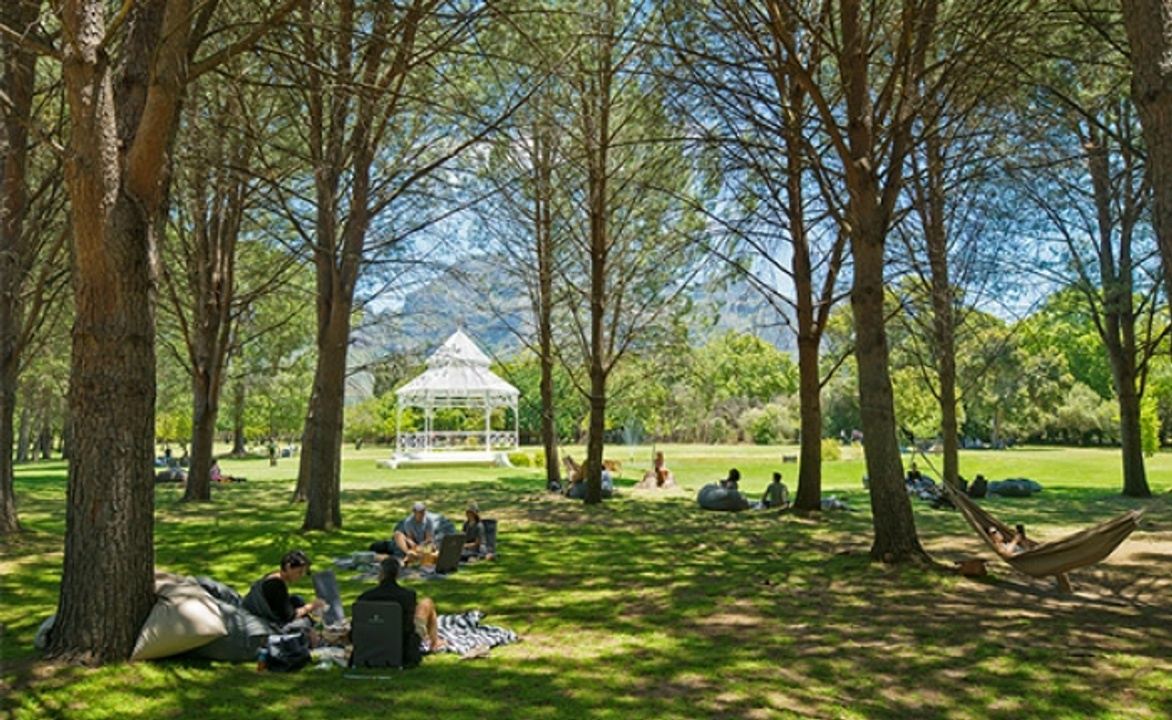 Холланд парк пикник