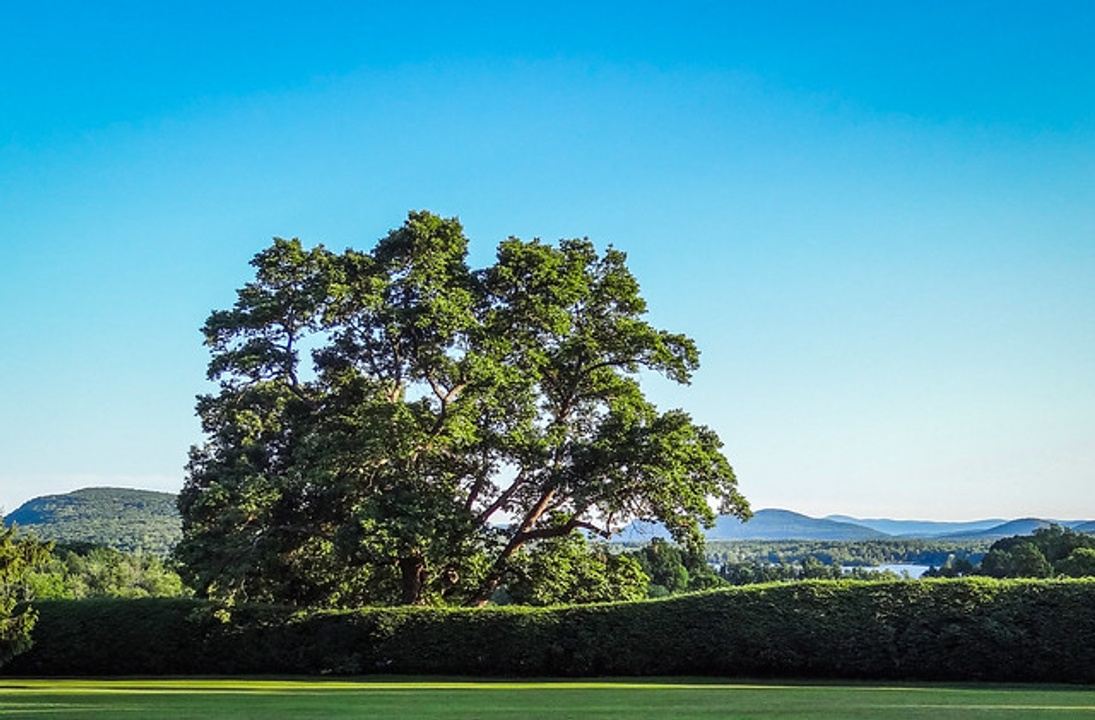 Tanglewood featuring James Taylor in Lenox, MA, USA