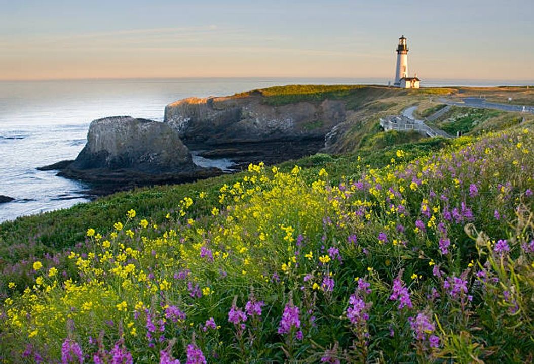 Newport Seafood and Wine Festival+ in Newport, Oregon