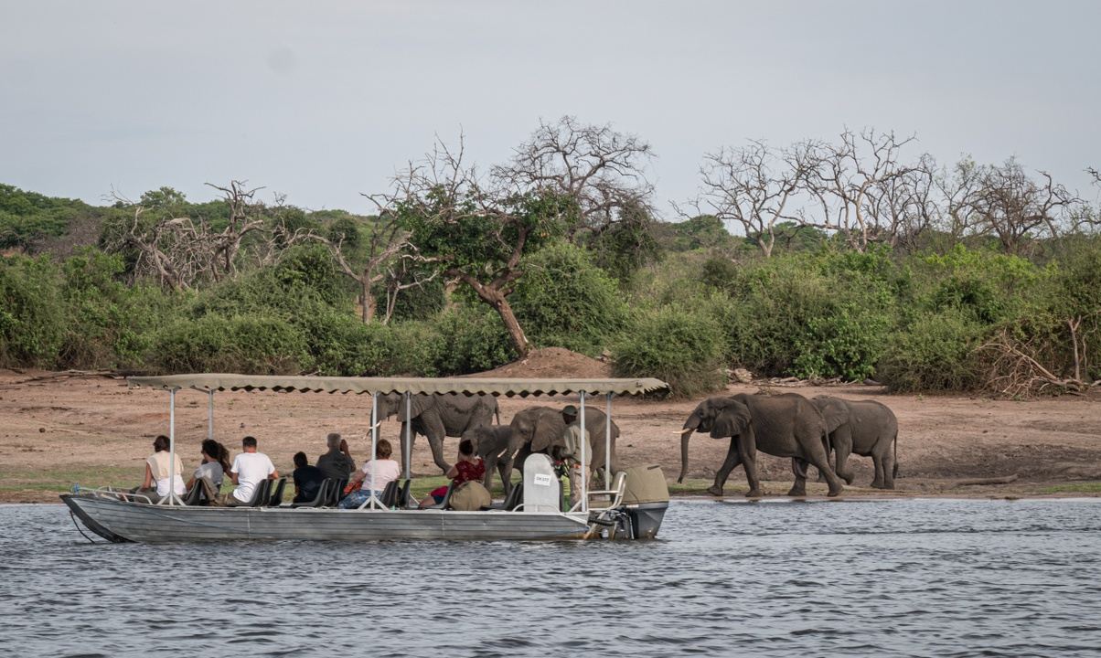 Discover Botswana 2024 in Chobe National Park, and the Okavango Delta
