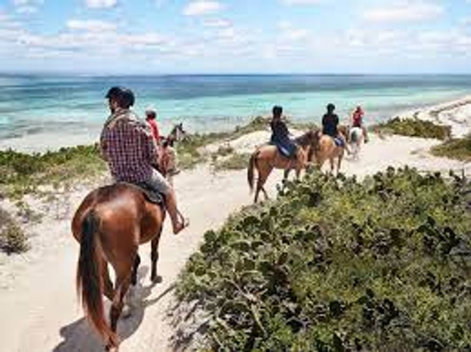 Jessica & Robert Wedding in Cabo San Lucas, BCS, Mexico