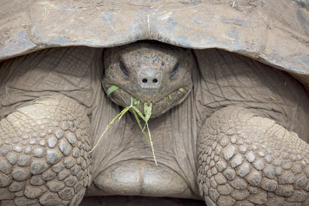 galapagos 360 tour