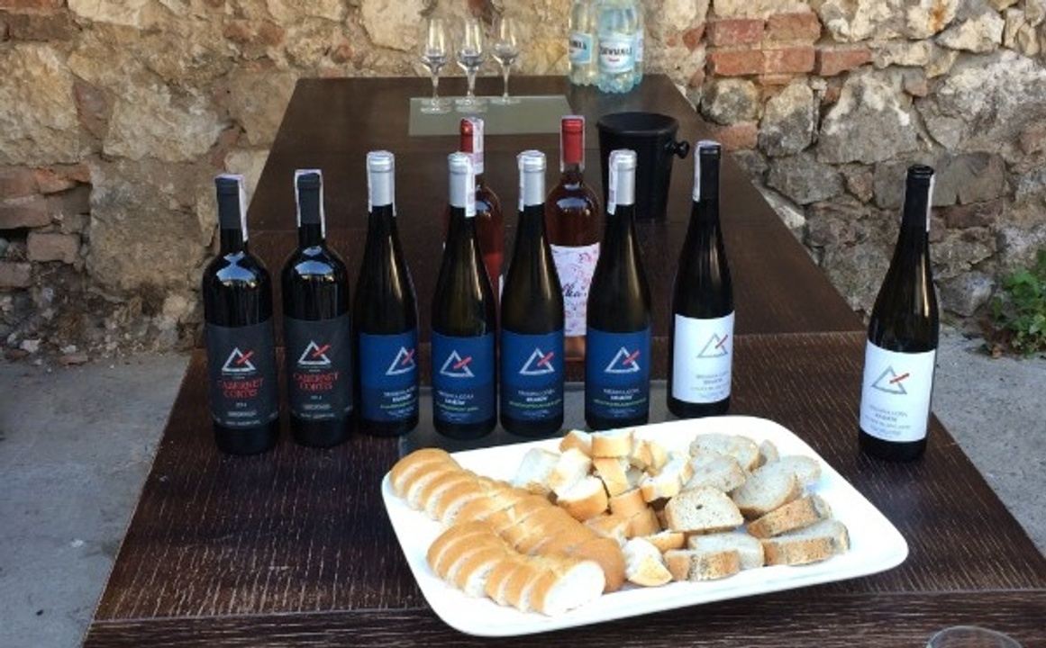 Five Days with Polish Wine in Lesser Poland + Krakow in Kraków, Poland