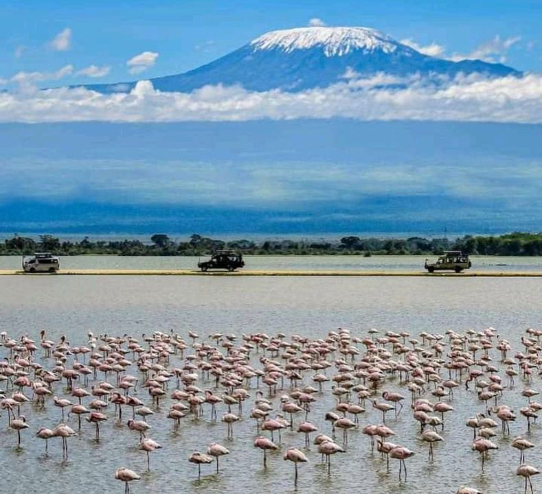 kenia safari 5 tage