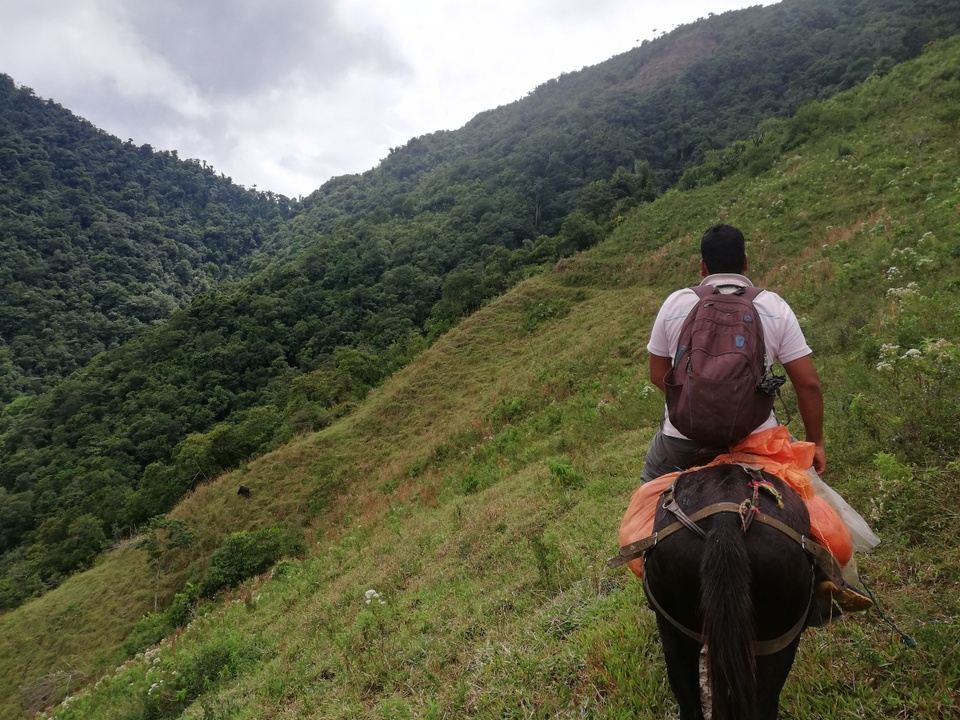 4 days - Birding + Trekking (Sierra Nevada de Santa Marta) in Santa ...