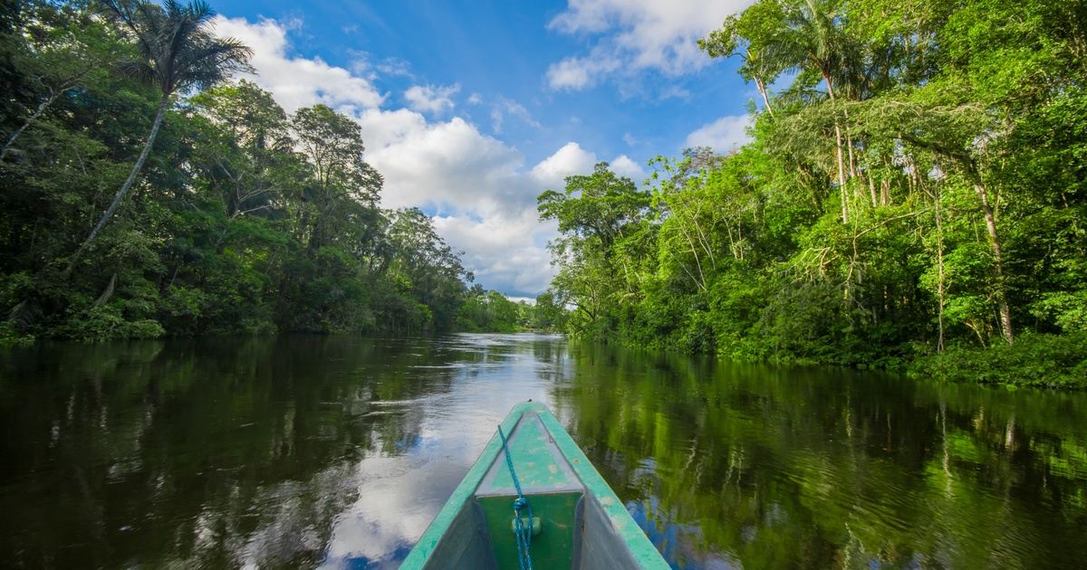 ayahuasca trip peru