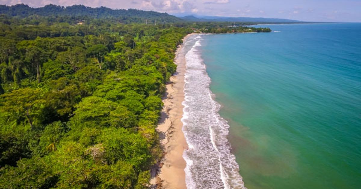 Costa Rica Soul Revival in Limón Province, Cahuita, Costa Rica