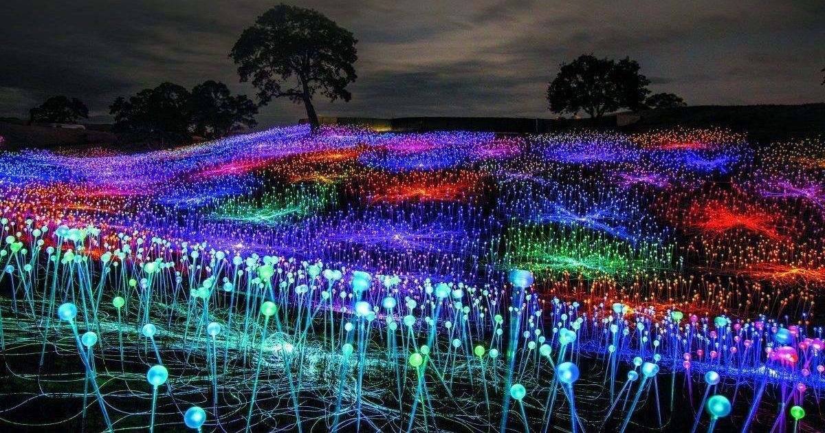 Bruce Munro Southern Light at Brookgreen Gardens in Murrells Inlet