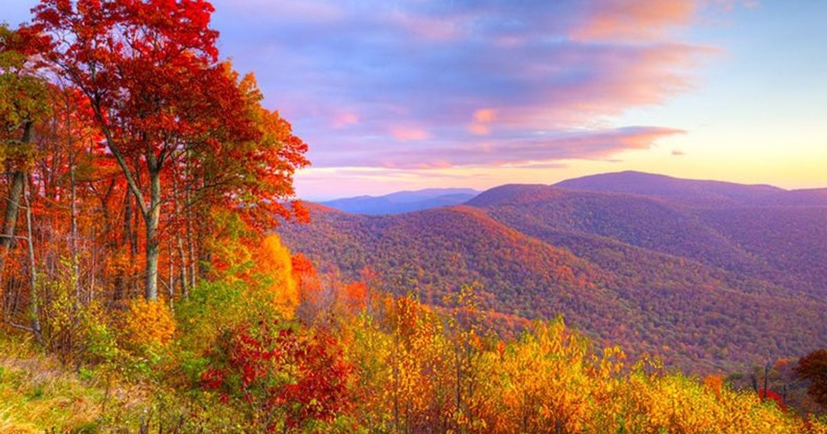 Women's Fall Explore & Restore Retreat (WKND 1) in Blue Ridge, GA