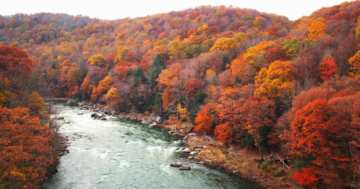 Pennsylvania Fall Foliage Backpacking in Ohiopyle, PA, USA