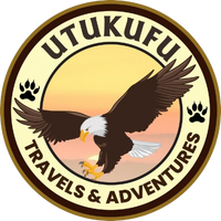 UT