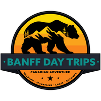 BD