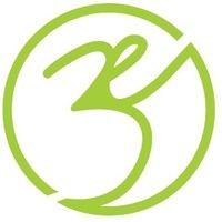3T